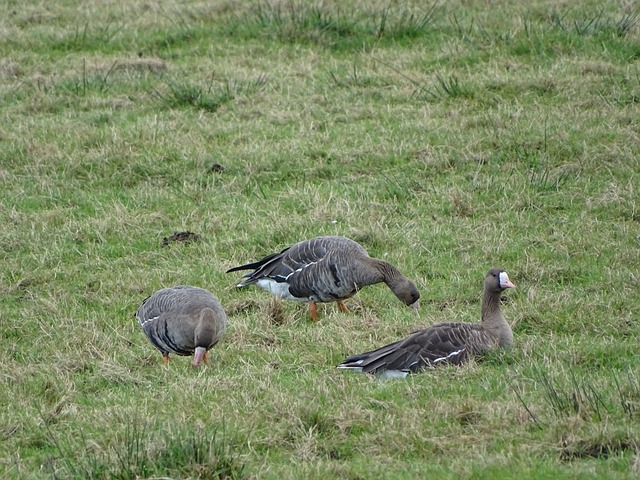 单人单吹风淋室（彩钢板）